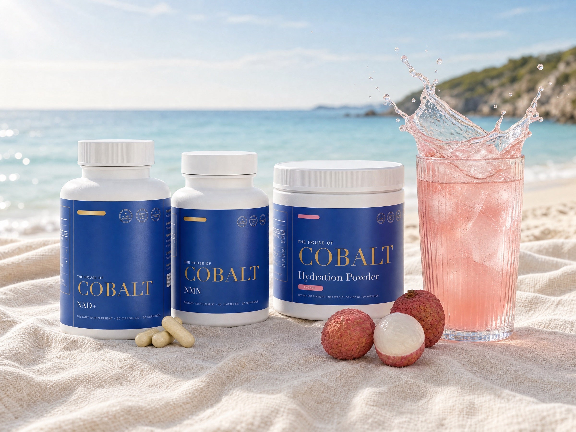 The House of Cobalt shelf by the water in bright daylight